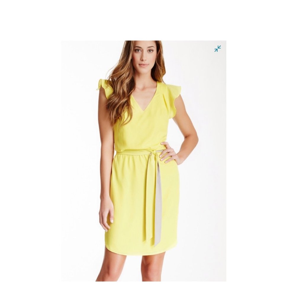 Jessica Simpson Ruffle Sleeve Dress 2